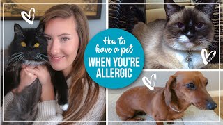 5 Tips for Managing Pet Allergies | How to live with a pet you