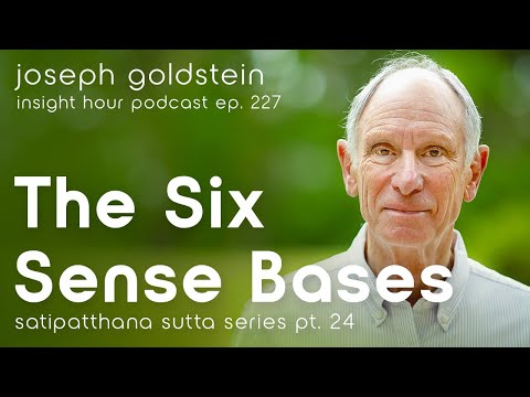 The Six Sense Bases with Joseph Goldstein – Insight Hour Ep. 227 – Satipatthana Sutta Series Pt. 24