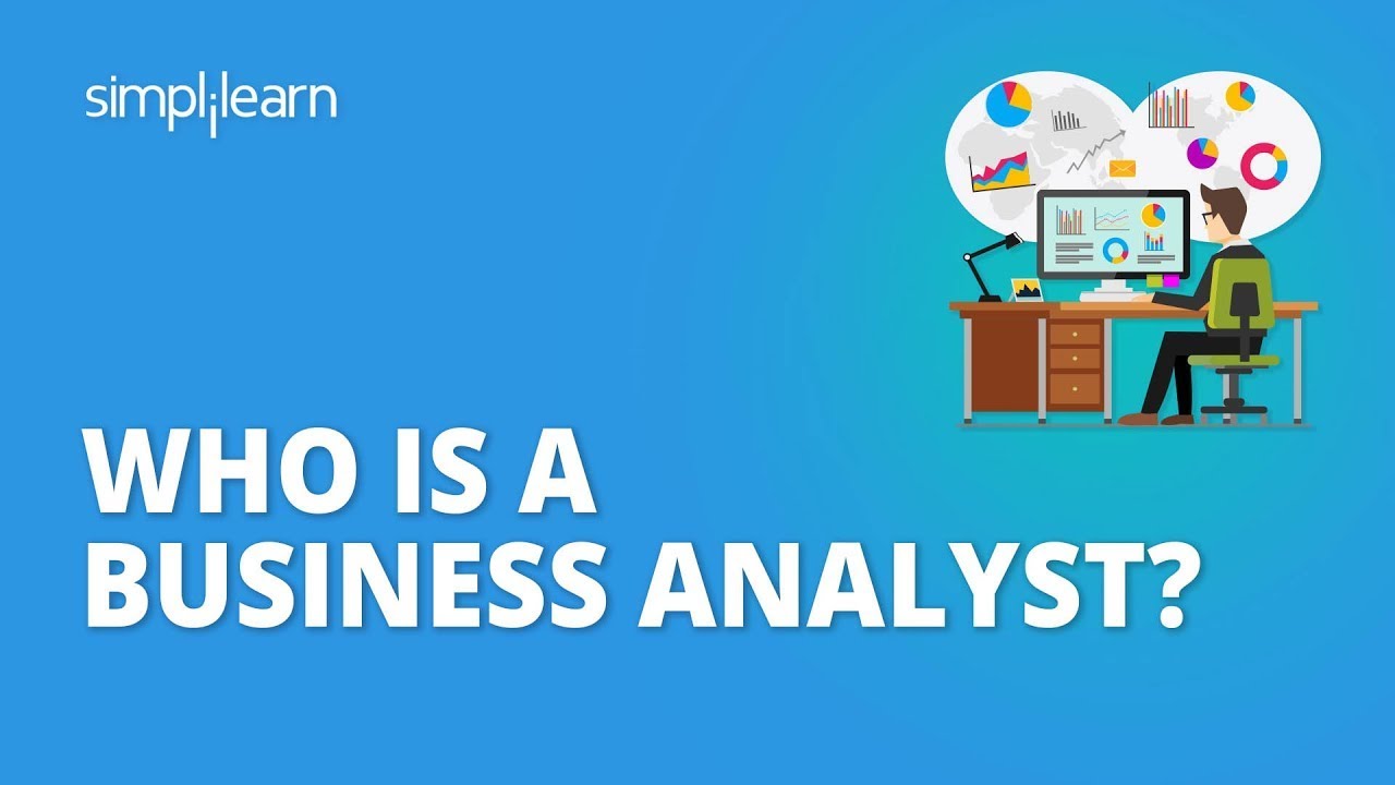 What does a BSA analyst do?
