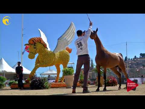 Menton 2017 - Class 2B