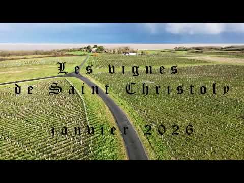 Les vignes de Saint Christoly du Médoc
