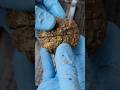 #87 Cutting Thunderegg, Moss Agate #agates #shorts