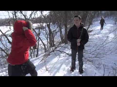 the adventures of theseus