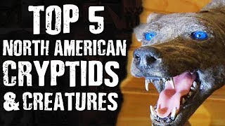 TOP 5 North American CRYPTIDS &amp; CREATURES