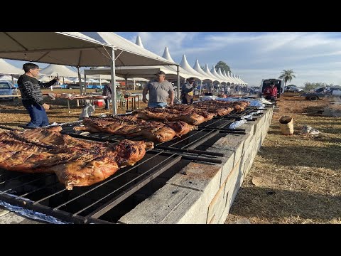 QUEIMA DO ALHO EM MONTE BELO MG 2023