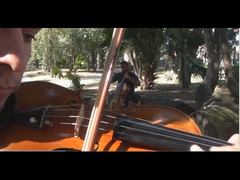 Titanium String Break - Violino e Cello