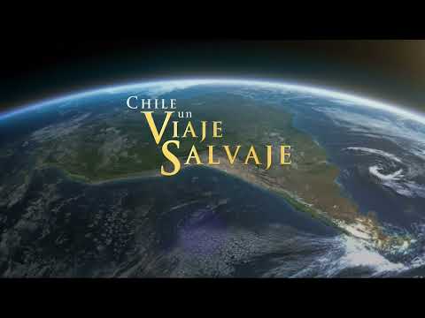 Chile- Un viaje salvaje