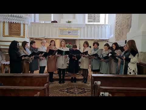 Bach Mindenkinek - a Viski Református Egyházközség kórusának szolgálata - 2023.03.19.