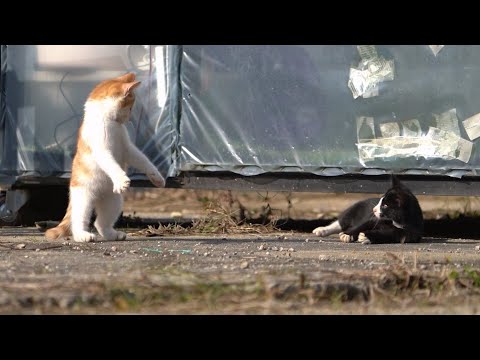 아직 양어장에 살고 있다