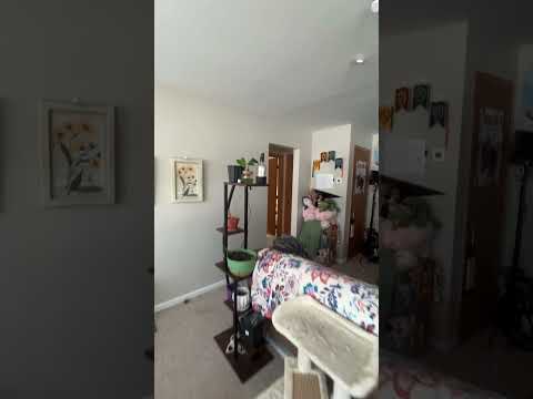 Available Now! - 1 Bed 1 Bath Apartment property video