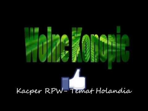 Kacper RPW   Temat Holandia