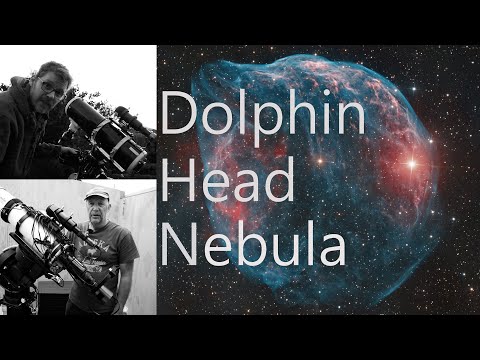 Dolphin Head Nebula - Australia/New Zealand Collaboration (Backyard Astrophotography)