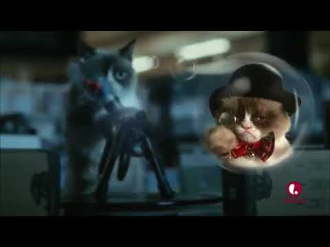 5  Grumpy Cat's Worst Christmas Ever