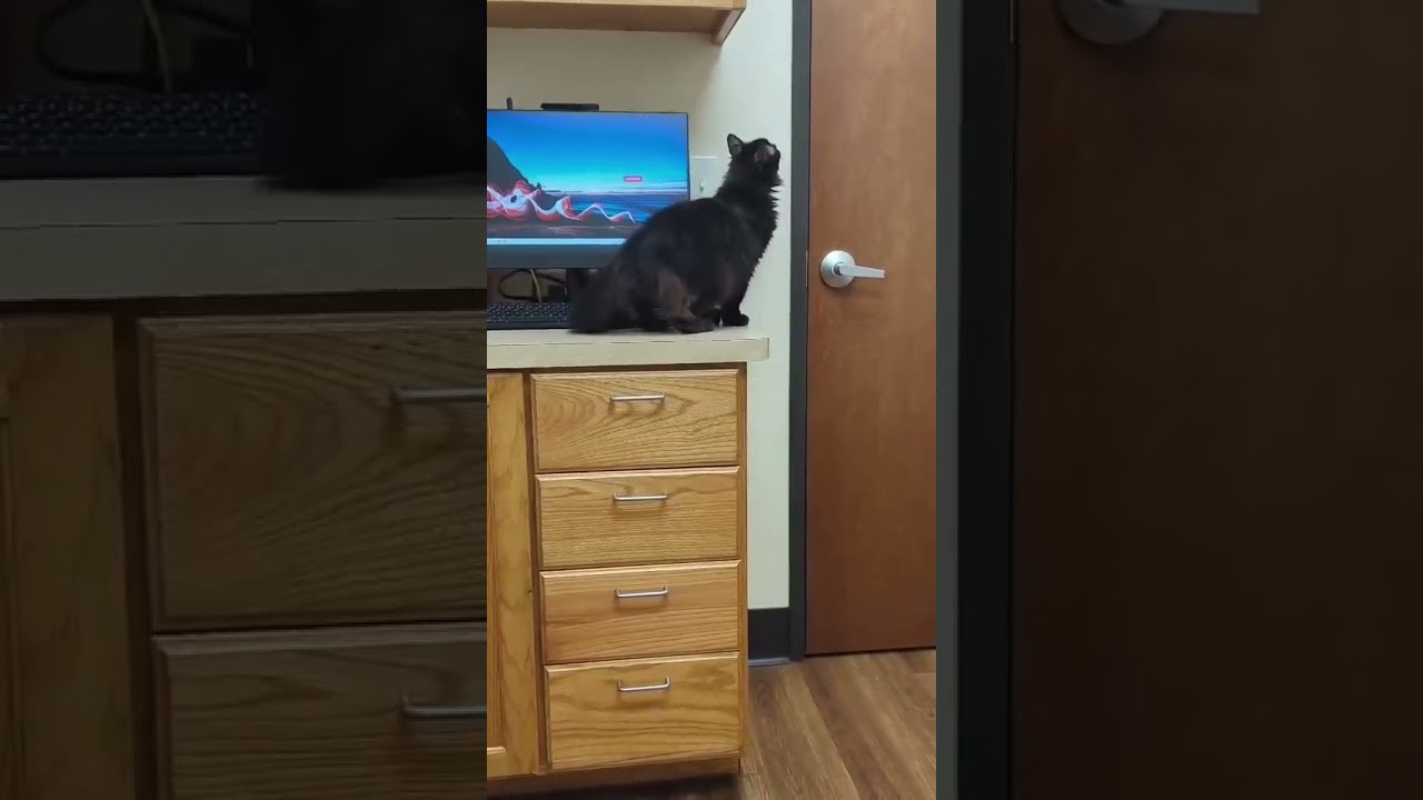 Mia video