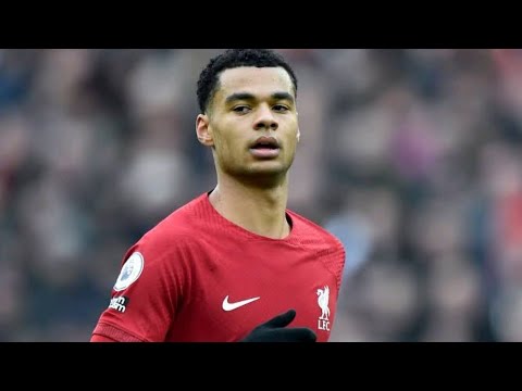 Cody Gakpo Goal vs Everton | Liverpool 2-0 Everton