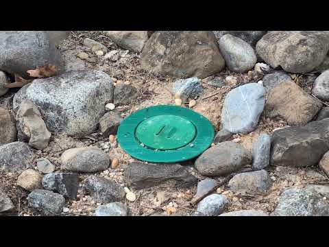 Yellow Jackets Nest Underneath Our Termite Bait Station in West Windsor, NJ