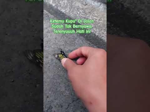 🆎️#TERENYUUH#SAMA" MAKHLUQ TUHAN#🆎️@Adel_Ayee19🙏🏻😊