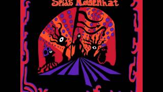 Spids Nøgenhat - Lever vi nu?