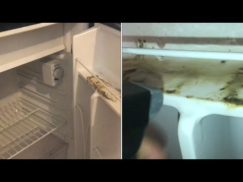 how to “clean” a MOLDY refrigerator or freezer