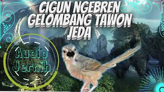 Download lagu Cigun Ngebren Gelombang Tawon Jeda || Masteran Ciblek Gunung 30 Menit mp3 Download lagu Cigun Ngebren Gelombang Tawon Jeda || Masteran Ciblek Gunung 30 Menit mp3
