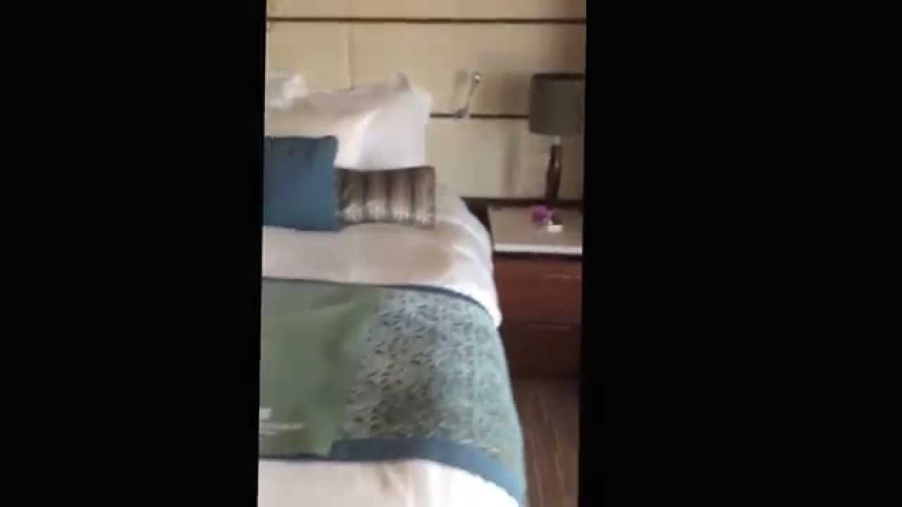 Pride of America - Cabin 13000 - Video 1