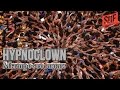 HypnoClown - Мы просто люди 