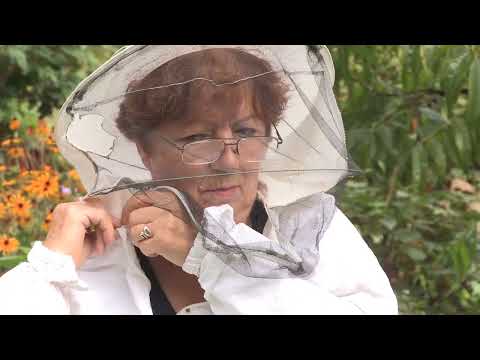 Boja meda ep. 265 04.04.2023. Pčelinja paša, pčelinji ples, majska bolest pčela