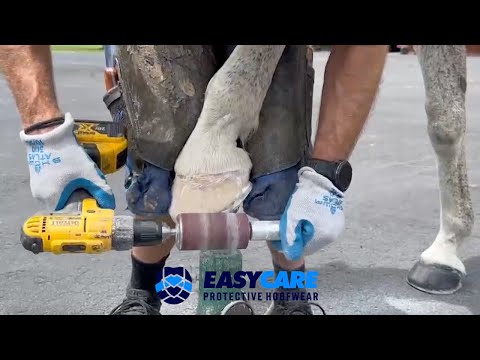 EasyShoe Roller Application