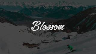 Atelo - don't let go