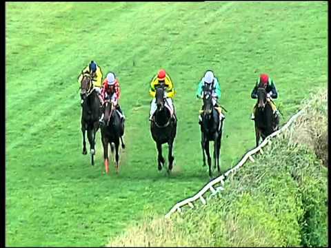 Galoppo 09/02/2016 - 2° corsa