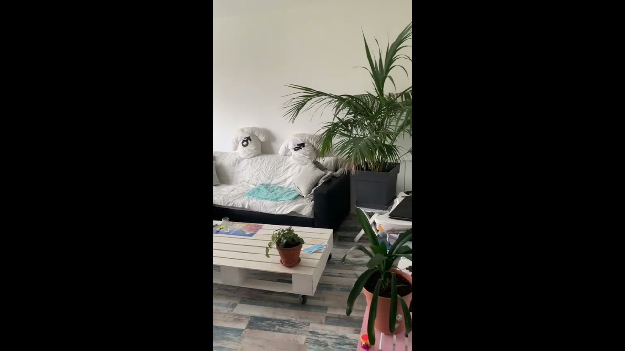 Watch video Appartement à louer a NOISY LE GRAND Appartement à louer a NOISY LE GRAND