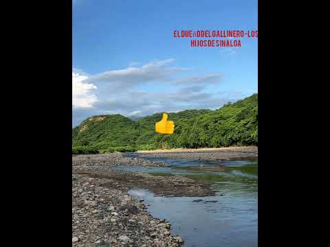 MIX/LOS HIJOS DE SINALOA