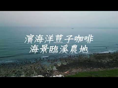 金山區-永興段農地出售 第1張共16張