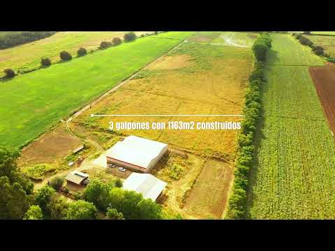 Campo agrícola en Pelarco - región del Maule