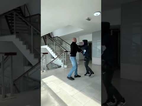 REAL AIKIDO in practice #2 - Igor Petrovic (7.DAN black belt)