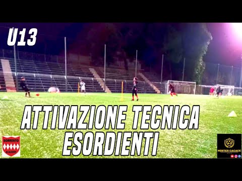 ATTIVAZIONE TECNICA CALCIO ESORDIENTI: TAGLIO SOTTO | U13