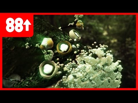 Guzz - 丛林之中遇见神庙 (+++) | 88rising CHINA