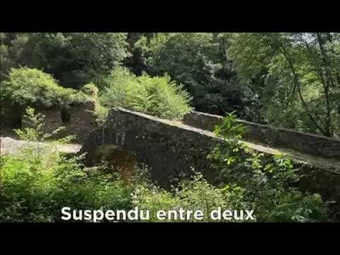 Zalana et Matra unies pour sauver le pont génois d'Alisu