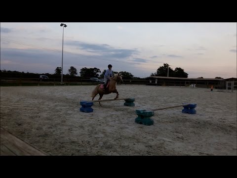 Moi & Manon - Cours de Saut d'Obstacles du 20/09/2016