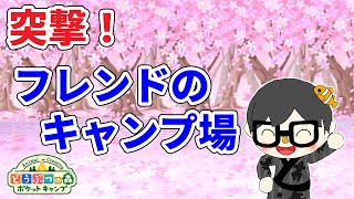 #03【ポケ森】突撃！フレンドのキャンプ場！【どうぶつの森ポケットキャンプ】
