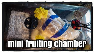 Mini Mushroom Fruiting Chamber