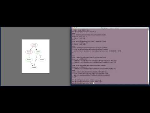 git object database depiction
