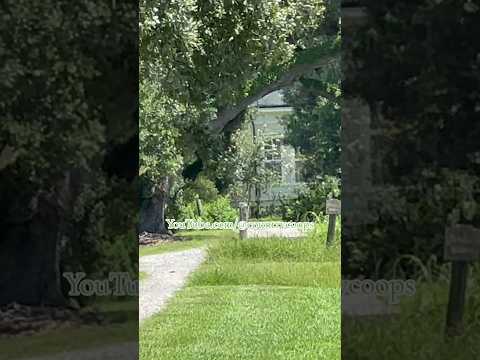 This Slave Plantation is STILL ACTIVE