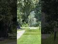 This Slave Plantation is STILL ACTIVE
