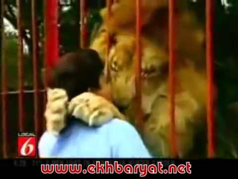 SubhanAllah! Luani takon pas 6 vjetesh ate qe e shpetoi nga semundja!