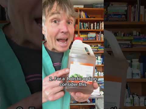 If your dog has increased itching, it could be caused by yeast- 3 simple remedies worth trying!