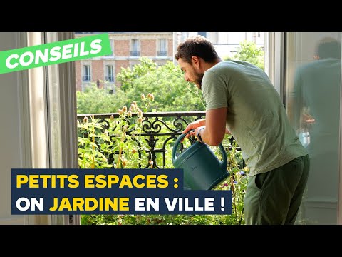 , title : 'Balcon, terrasse, fenêtre : Comment végétaliser en ville ? (Avec Stéphane Marie)'