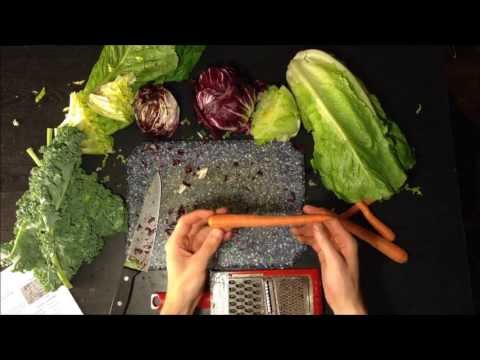 download lagu mp3 mp4 Bearded Dragon Carrots, download lagu Bearded Dragon Carrots gratis, unduh video klip Bearded Dragon Carrots