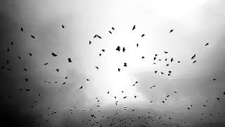 WATAIN - THEY RODE ON