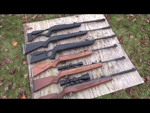 Powerful Break Barrel Pellet Rifles, Hatsan Air Guns For Fun Or Pest Control (Made in Turkey)